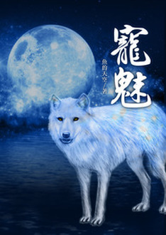 全能修炼宝典